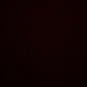 Meet your Posher, Damian